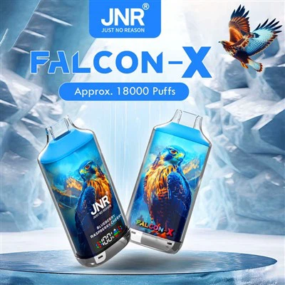 جونيور فالكون 18000 نفث